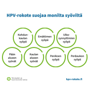 Infograafikuva papilloomavirusten aiheuttamista syövistä.